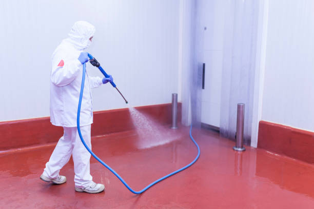 Best Fleet Vehicle Washing  in Gladeview, FL