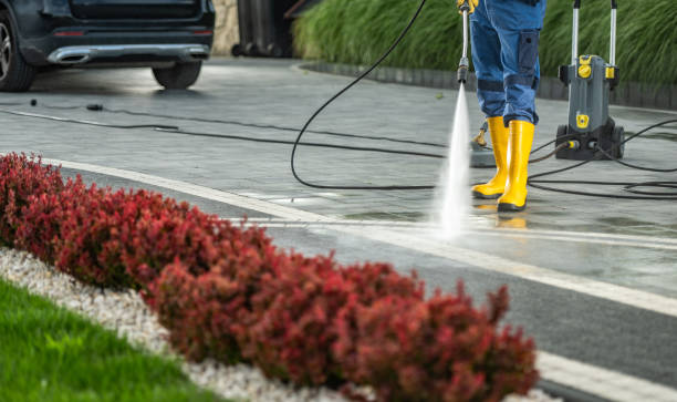 Best Solar Panel Cleaning  in Gladeview, FL